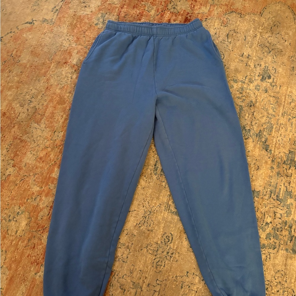 Aritiza blue sweatpants